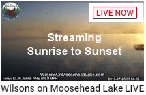 Wilsons live stream
